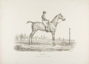 Constance, propriété de M. J.G. Schickler