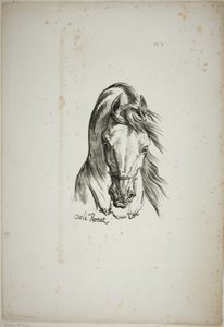 Détail de la tête de cheval, agrandie au triple, Garde royale normande, n° 1 - Carle Vernet
