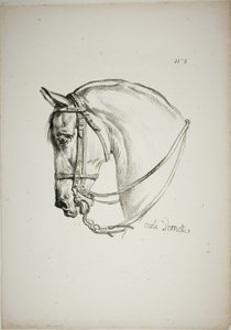 Détail de la tête de cheval, agrandie au triple, Garde royale normande, n° 2