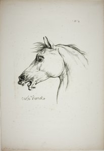 Détail de la tête de cheval, agrandie au triple, Garde royale normande, n° 4 - Carle Vernet