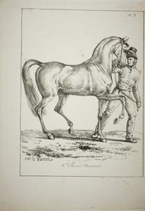 Garde royale, cavalier normand, pas en tenue complète, et cheval, No. 3 - Carle Vernet