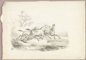 Trois chevaux qui courent
