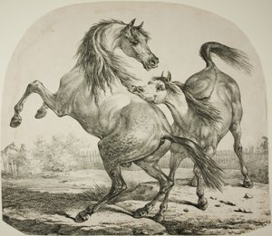 Chevaux sauvages se battant - Carle Vernet