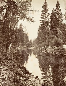 Rivière Merced, Yosemite, vers 1872, imprimé vers 1876