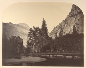 Camp Grove, près de Sentinel, 1861, Yosemite - Carleton Emmons Watkins