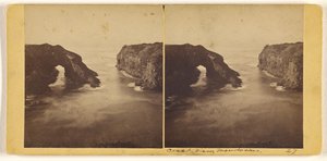  - Carleton Watkins