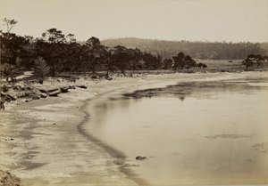  - Carleton Watkins
