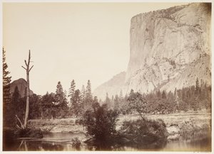  - Carleton Watkins