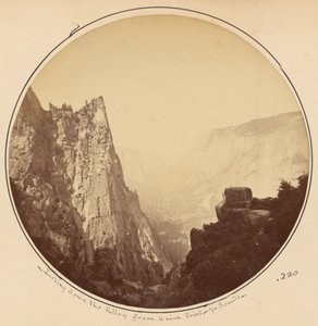  - Carleton Watkins