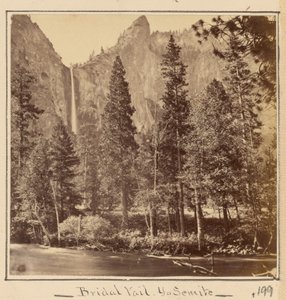  - Carleton Watkins