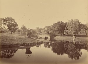  - Carleton Watkins