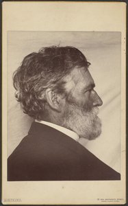 Portrait de George Davidson - Carleton Watkins