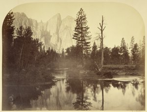  - Carleton Watkins