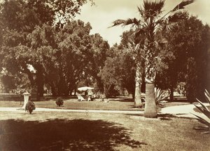 [Thurlow Lodge - Tentes et groupes familiaux].