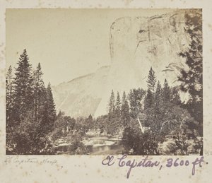  - Carleton Watkins
