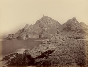  - Carleton Watkins