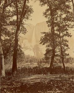  - Carleton Watkins