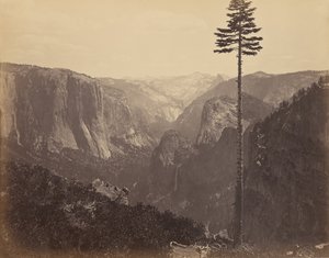 Vallée de Yosemite depuis la meilleure vue générale - Carleton Watkins