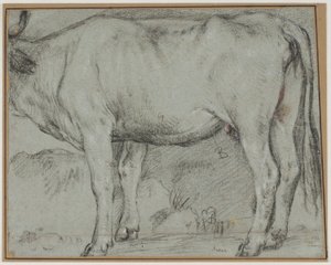Vache debout (tête manquante) - Carlo Caliari