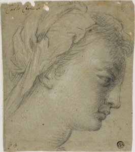 Tête de femme de profil à droite - Carlo Cignani