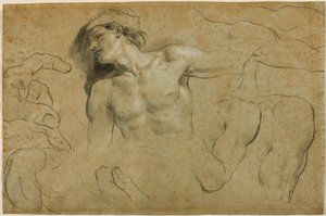 Études de mains, épaules et une jambe