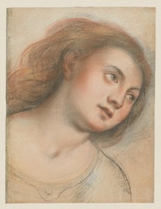 Étude pour tête féminine (verso); Tête du Christ (recto) - Carlo Francesco Nuvolone