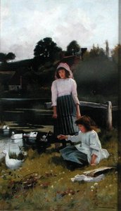 Nourrir les Canards