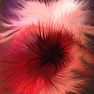 Spirale de lumière et de couleur