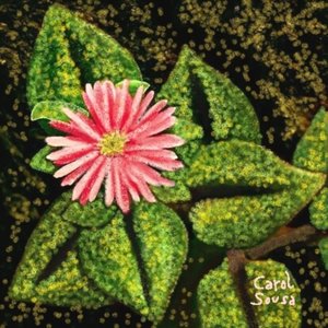 Fleur sauvage