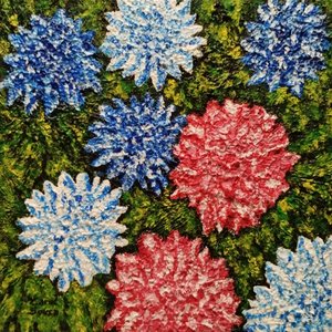 Fleurs dans l