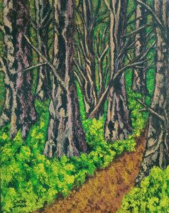 Sentier dans la forêt - Carol Sousa Cuello