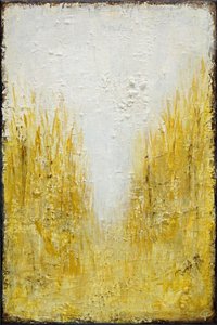 Lumière des champs dorés