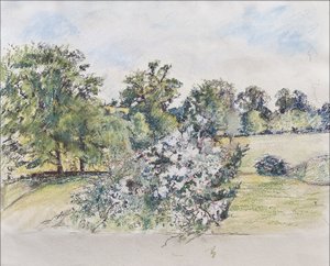 Août depuis notre fenêtre - Caroline Hervey Bathurst