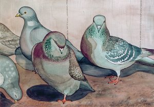 Pigeons