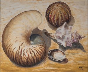 Coquillages, 1993