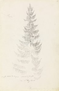 Épicéa - Caspar David Friedrich