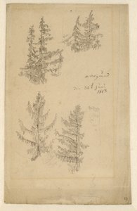 Allemand : Tannenstudien Études sur les sapins - Caspar David Friedrich