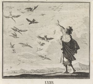  - Caspar Luyken