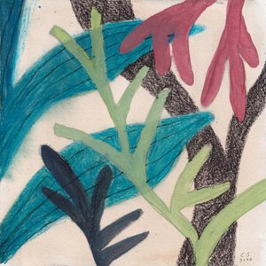 Feuillage abstrait coloré - Catalina Somolinos