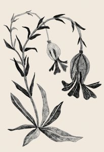 Une élégante composition florale