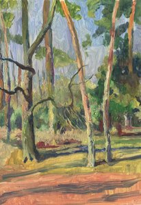 Sentier forestier ensoleillé