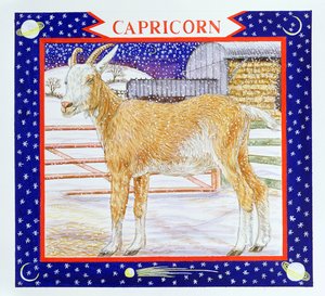 Capricorne