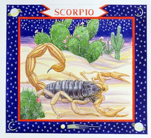 Scorpion