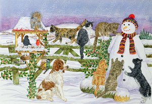 Le Bonhomme de neige et ses amis - Catherine Bradbury