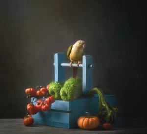 Nature morte d