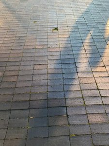 Composition - Light, 2021 (photo) - Cécile Jamet