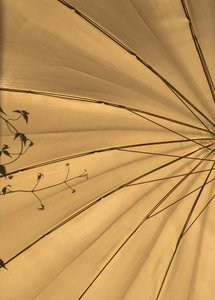 Composition - Lights, 2020 (photo) - Cécile Jamet