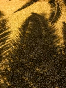 Composition - Shadows, 2021 (photo)