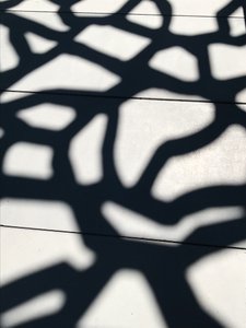 Composition - Shadows, 2021 (photo) - Cécile Jamet