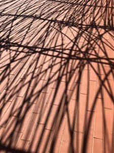 Composition - Shadows, 2021 (photo)